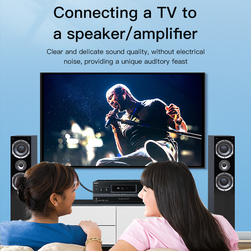 CHOSEAL RCAケーブル デジタル同軸オーディオケーブ - Home Cinema Player のレビューと価格